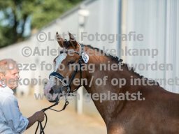 2023_07_08_RK_StOedenrode